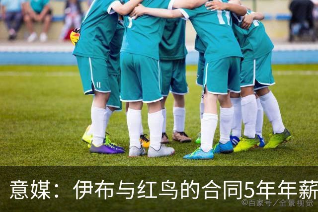 意媒：伊布与红鸟的合同5年年薪100万欧，职责除了竞技还涉及商业