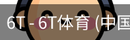 6T体育